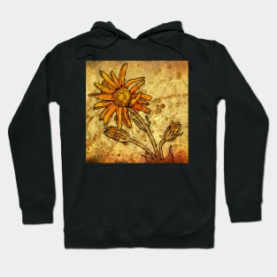 Arnica Montana Hoodie